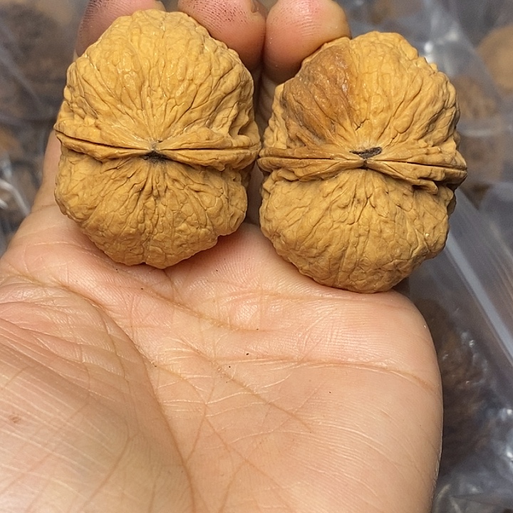 文玩核桃把件云南铁核桃97