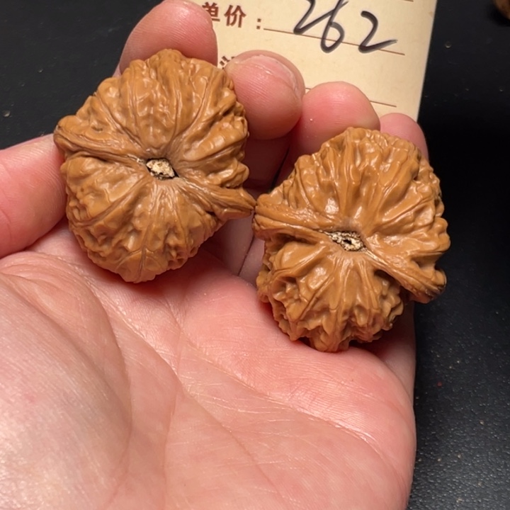 文玩核桃把件元宝43尺以打底262