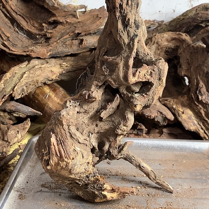 黄花梨/降香黄檀用****9