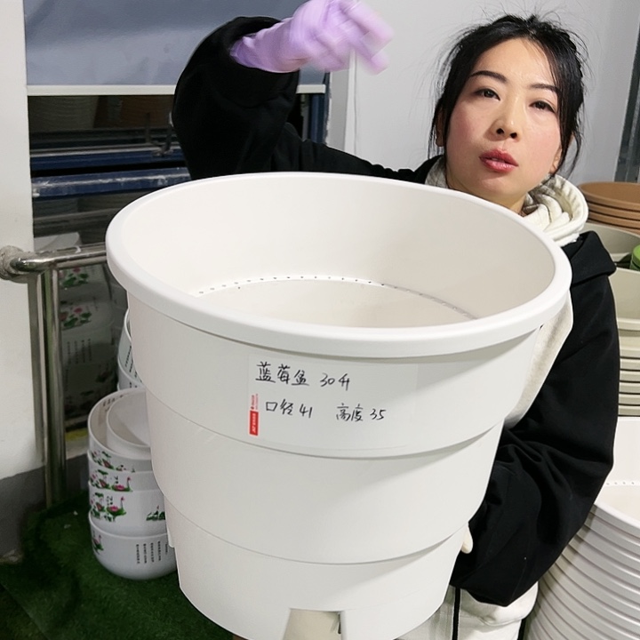 正品蓝莓盆口41高35白色3只无托