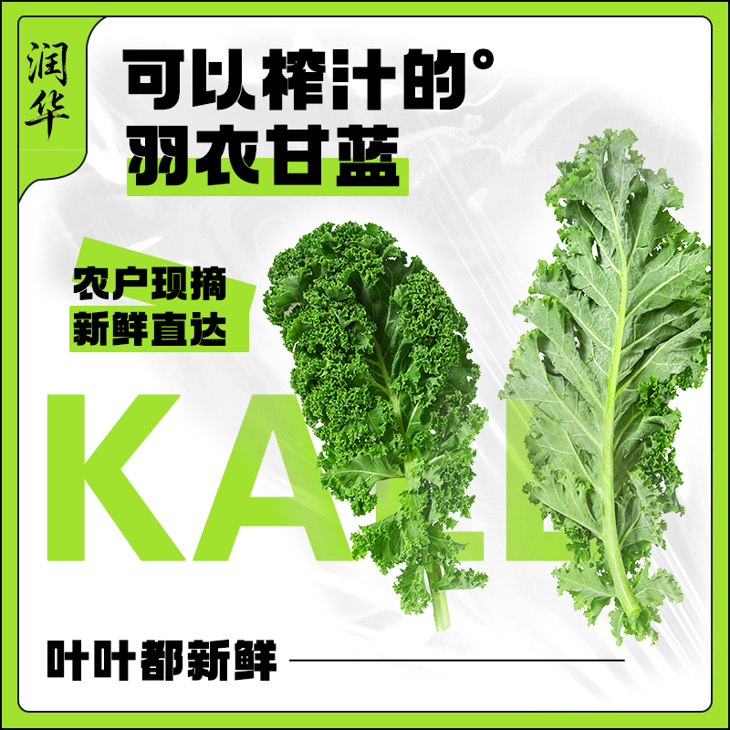 网红爆款产地直采京东冷鲜发货新鲜羽衣甘蓝叶子