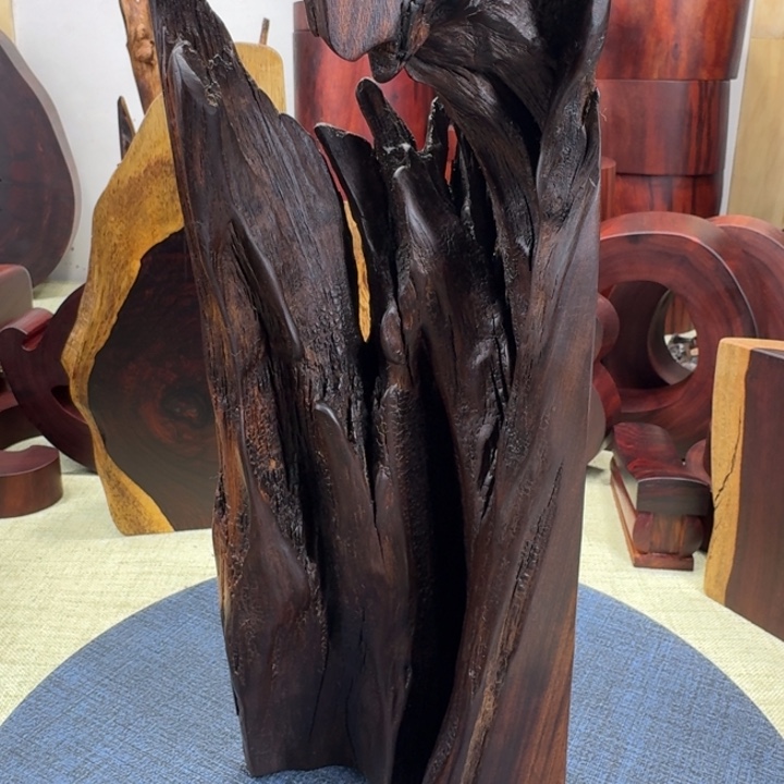 收***哥大果紫檀（缅甸花梨）