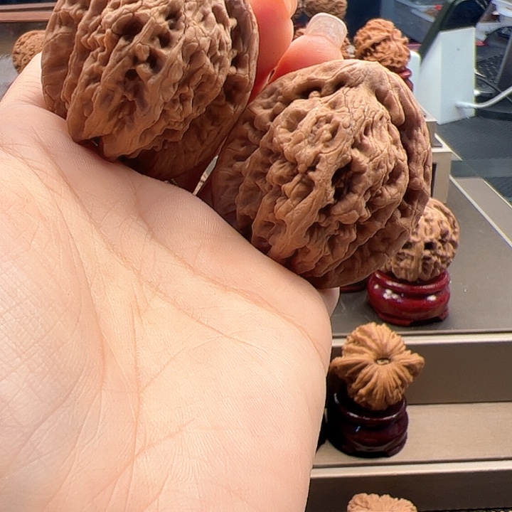 文玩核桃把件41 金公子 t-019