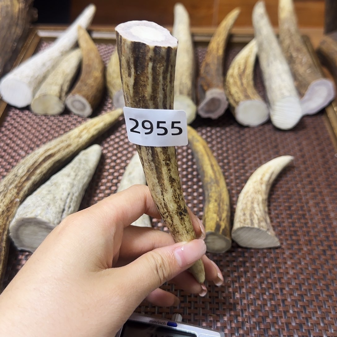 鹿骨手串/手链角尖2955