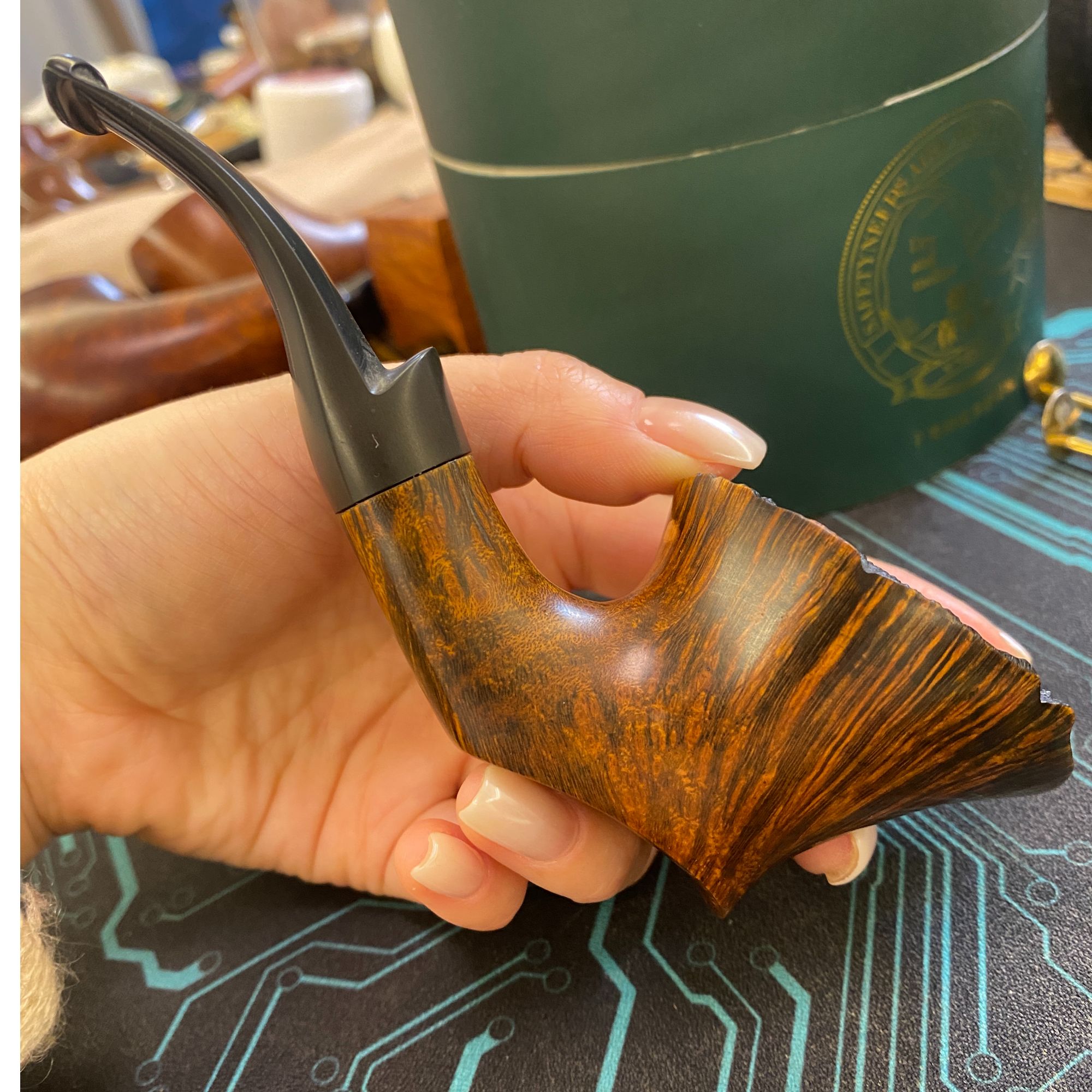 石楠根瘤烟斗 厚斗壁 斗口瘤皮