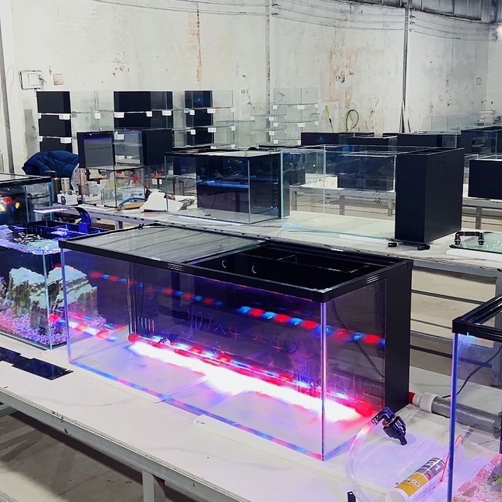 禮***下玻璃100.40.40背双进双