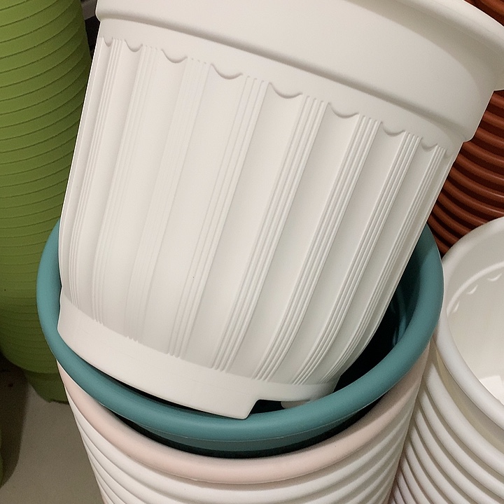 罗马口32高28白3个