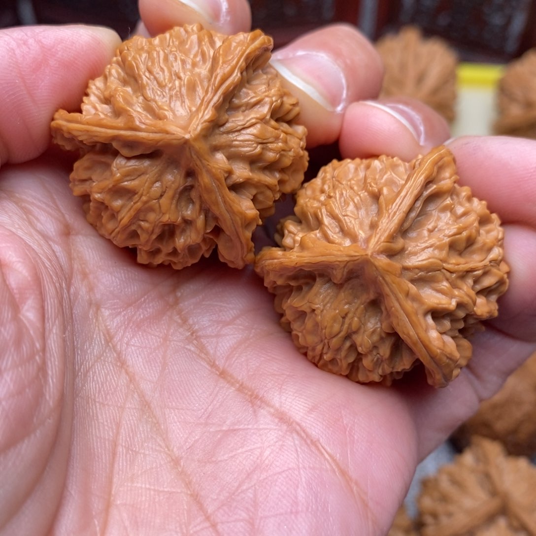 文玩核桃把件全品毕业盘山奔奔35尺