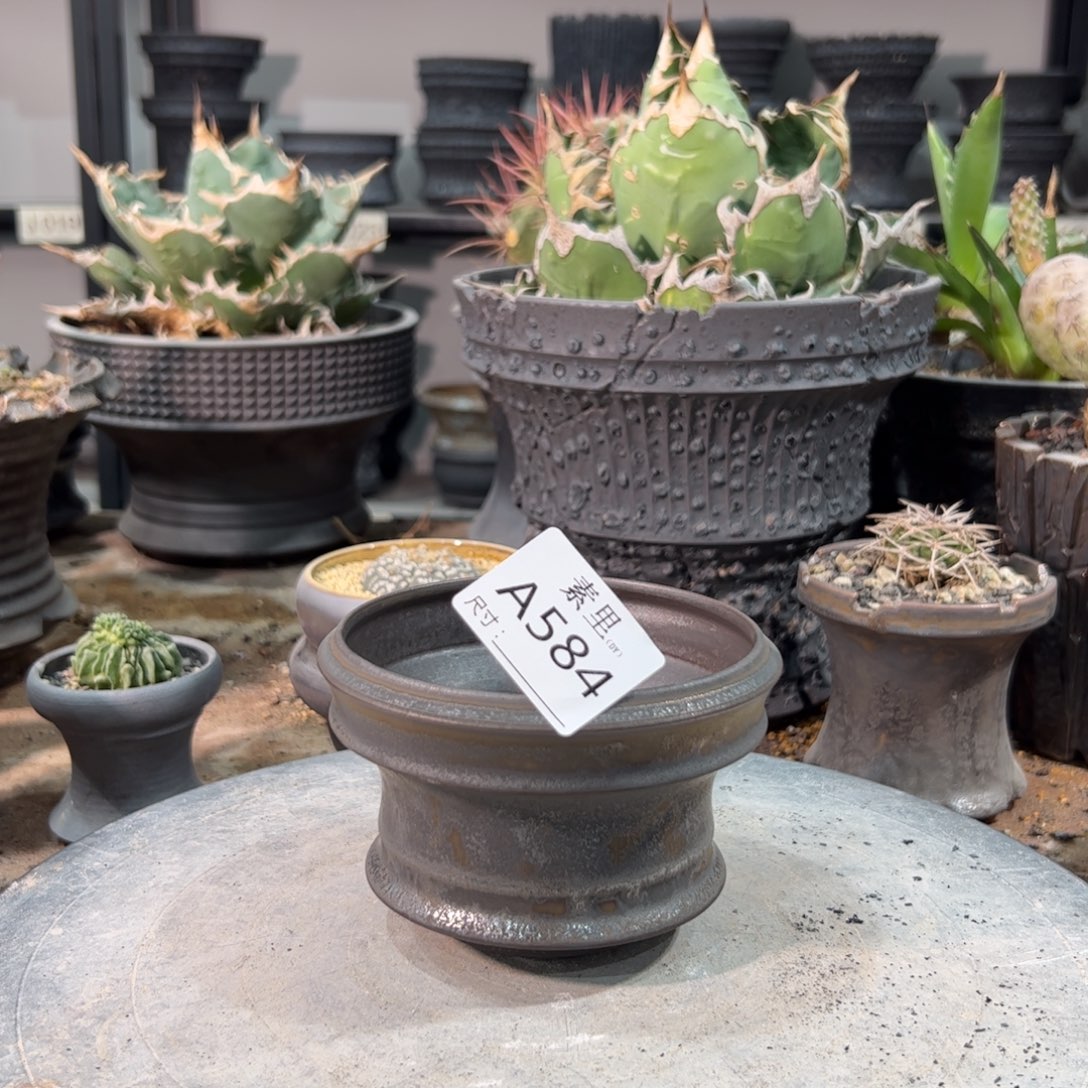 景德镇素里手工内口10高7.5