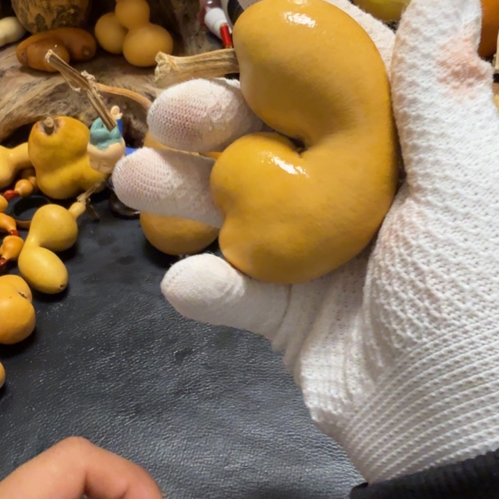 心***安66……………………………………