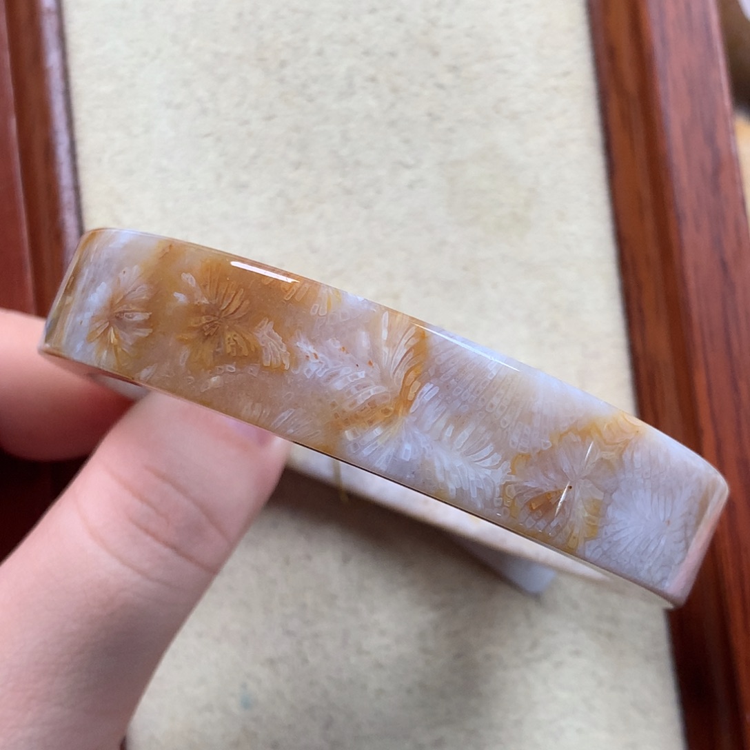 未镶嵌方镯58圈口漏300/个。11硅化珊瑚（珊瑚玉）