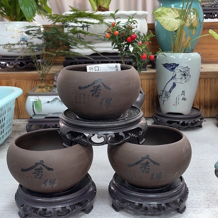 陶瓷花盆抢购福利活动