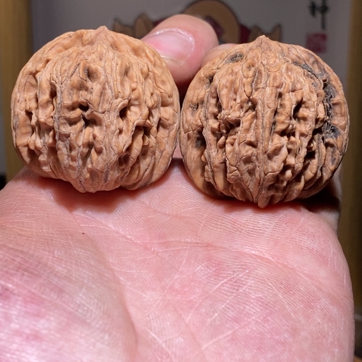 文玩核桃把件50一物一图