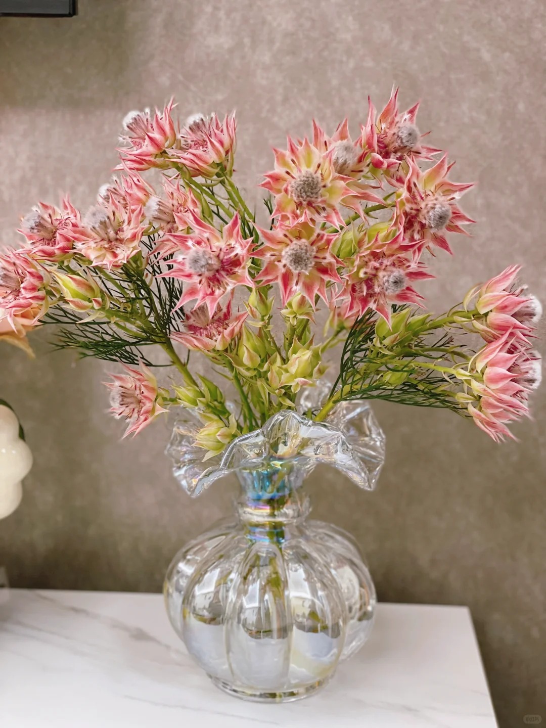 【花王朝】新娘花-鲜花云南直发鲜花家居水养插花鲜切花