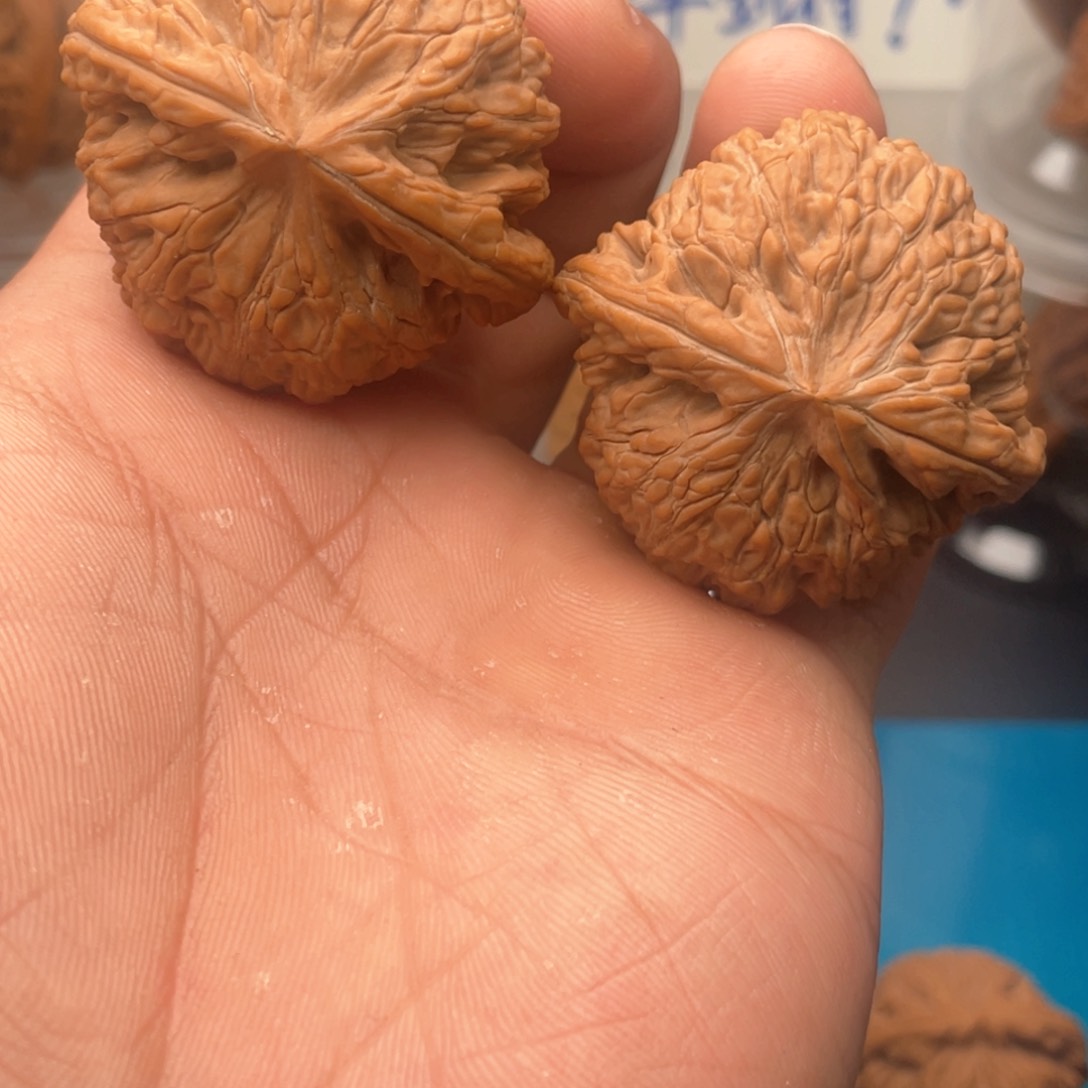 文玩核桃吊坠44全品蛟龙