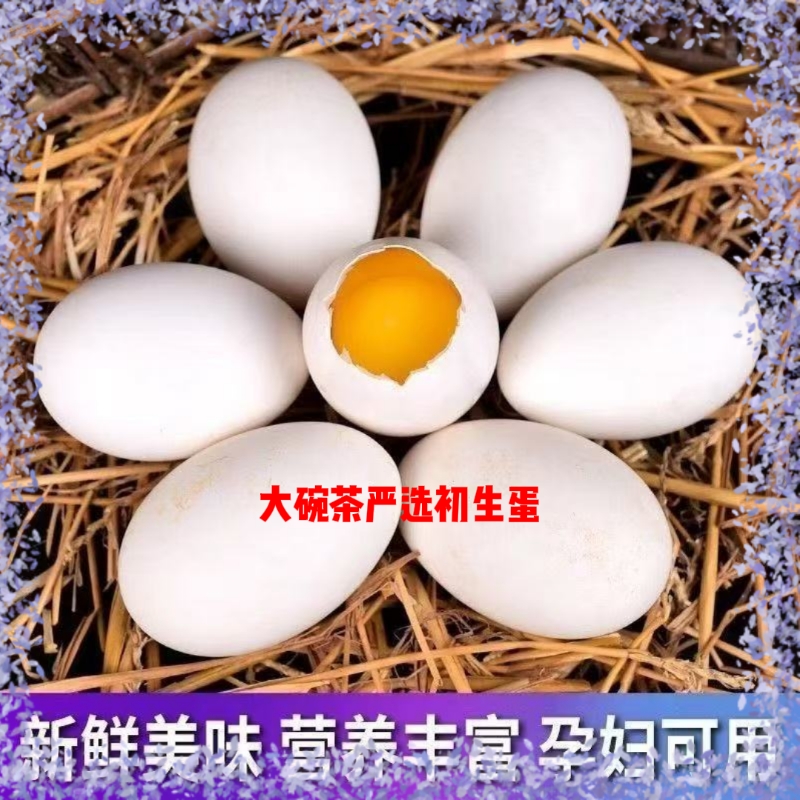 鹅蛋新鲜孕妇20枚散养农家鹅蛋雁鹅蛋现捡现发tg