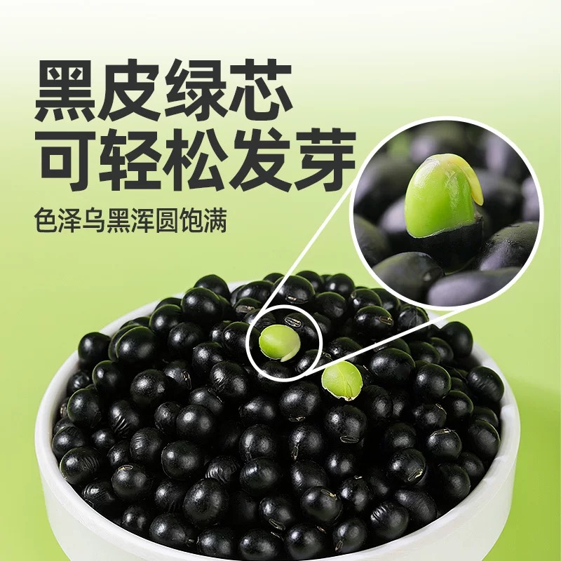 黑豆 绿心黑豆 豆芽 黑豆豆浆专用 杂粮 粗粮三斤/五斤