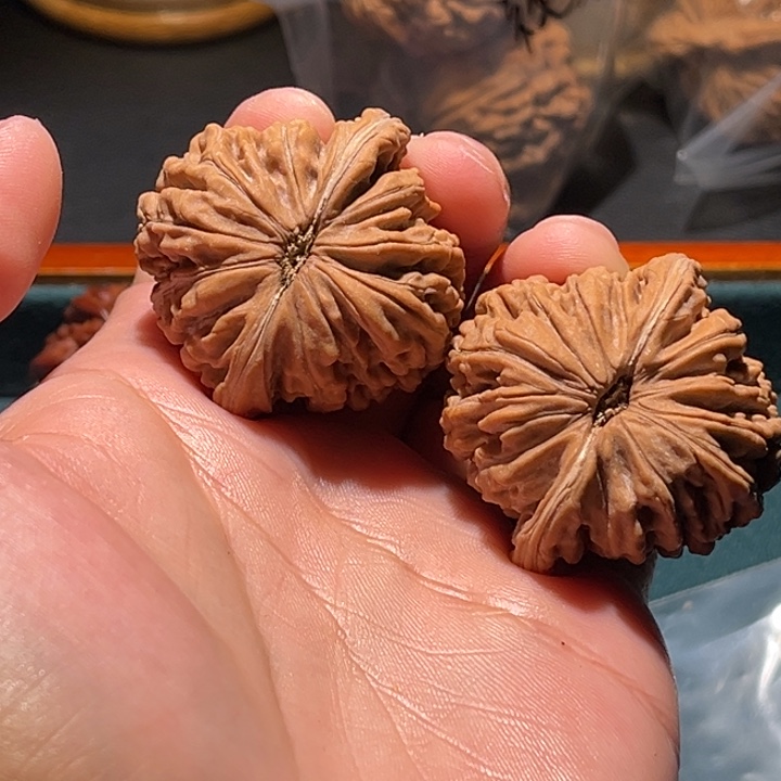文玩核桃把件胖*39➕楼子毕业对