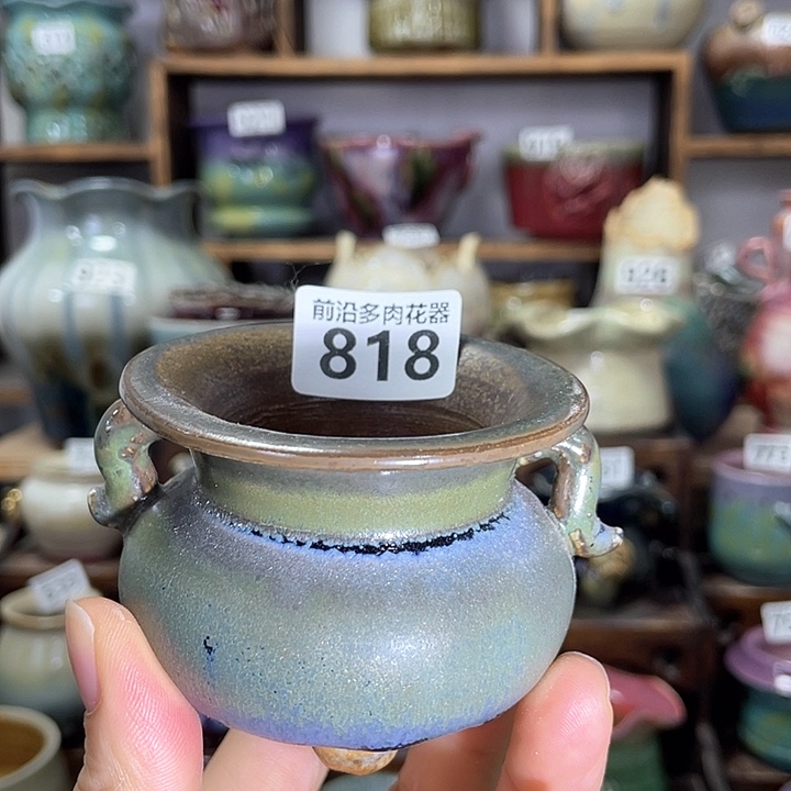 红陶内口径6高度6