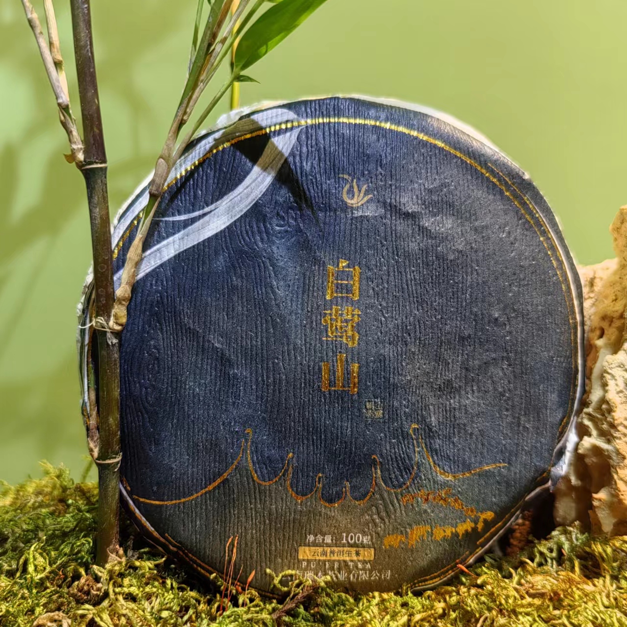 東氏（2022白莺山古树春茶）