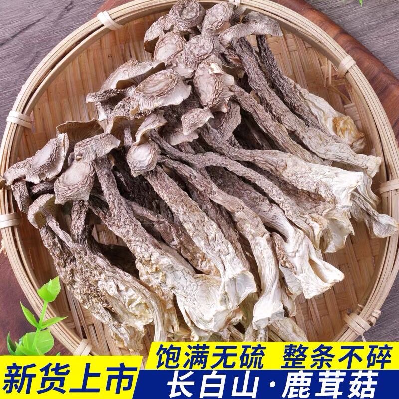 东北长白山鹿茸菇干货煲汤干货菌香浓郁营养美味鲜嫩多汁