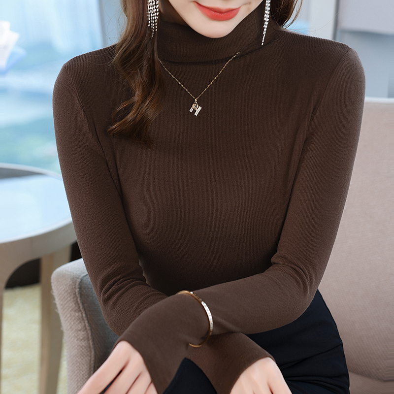 时尚轻职风高领长袖时尚秋冬保暖百搭秋季打底衫耐磨