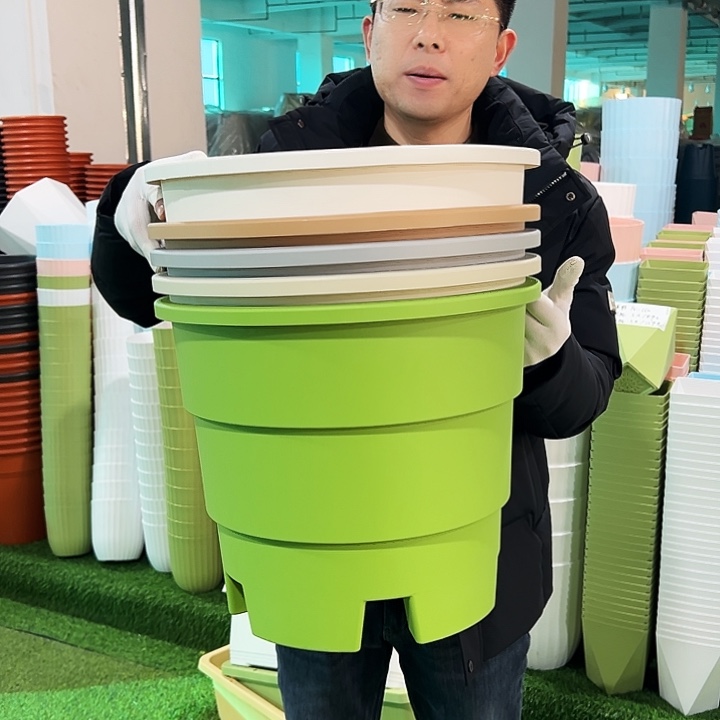 正品蓝莓盆口39高33白色3只无托