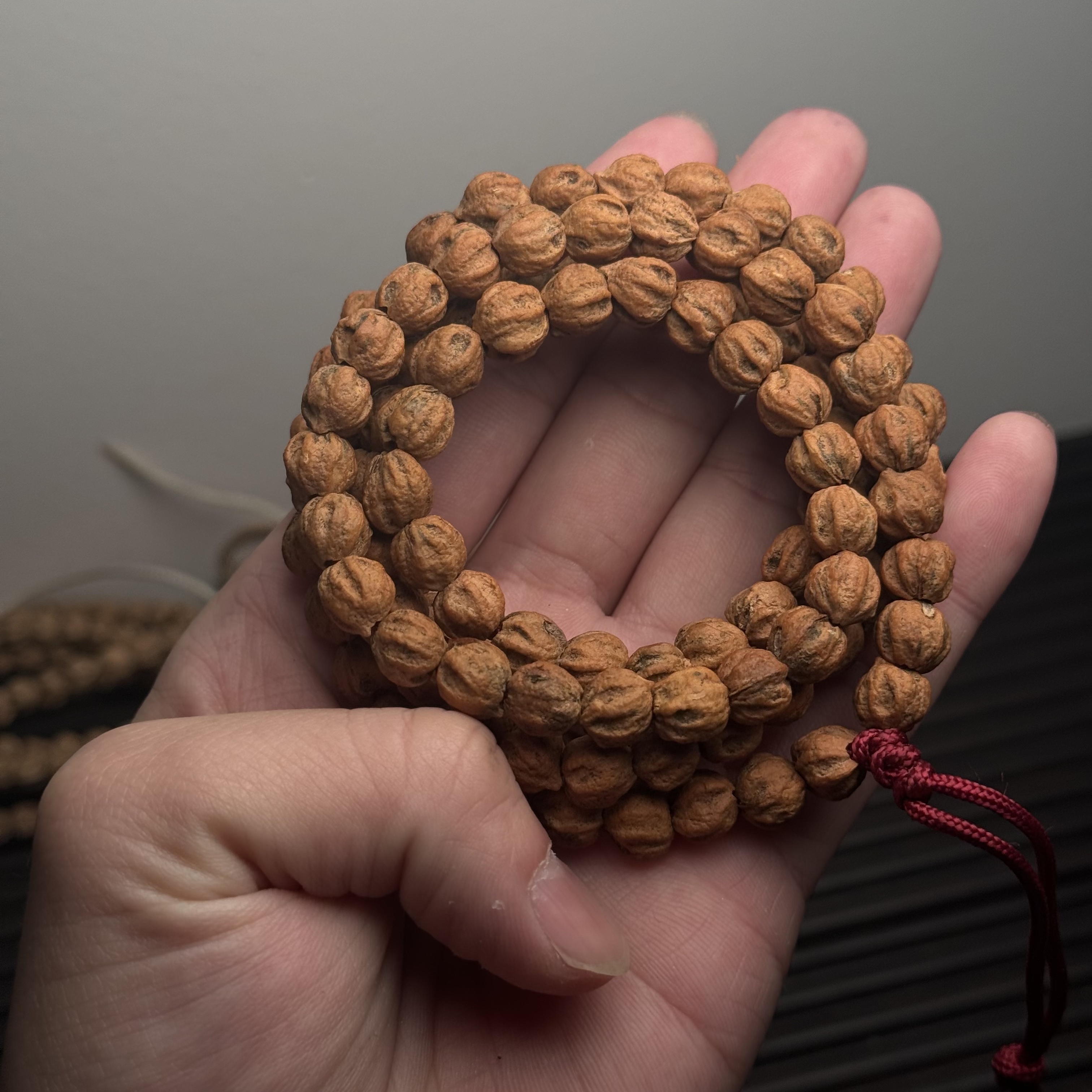 热振柏香籽红皮原桩108尺寸