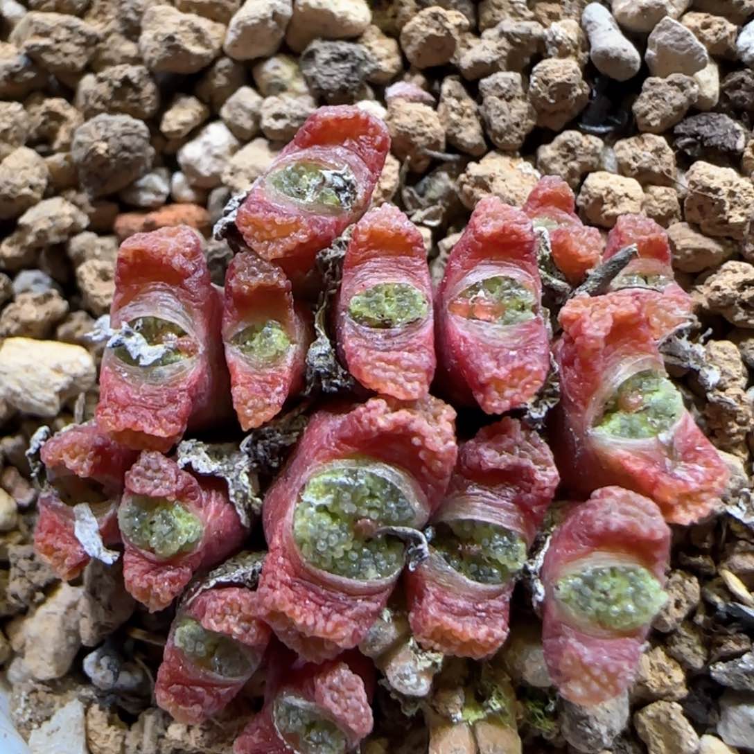 3.21。  火柴。 5025