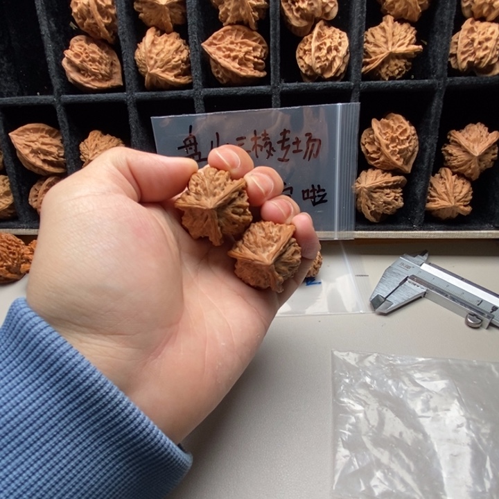 祉****手串/手链核桃哈哈哈哈哈哈哈哈哈哈