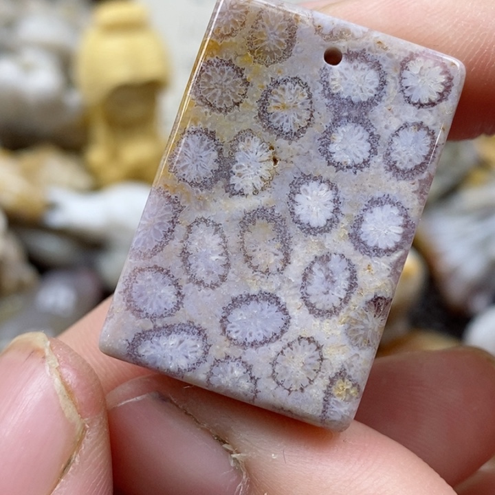 颈饰未镶嵌硅化珊瑚（珊瑚玉）有瑕