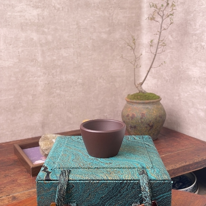 马蹄尖的人是真的会