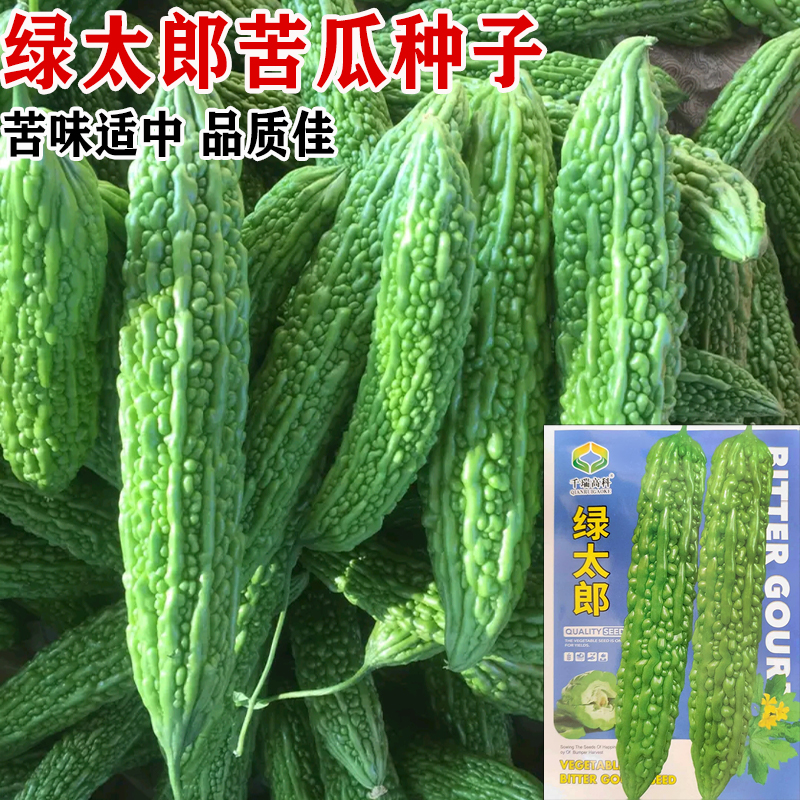 绿太郎耐热长绿苦瓜种孑高产白玉籽赖葡萄种子蔬菜特大苗春四季