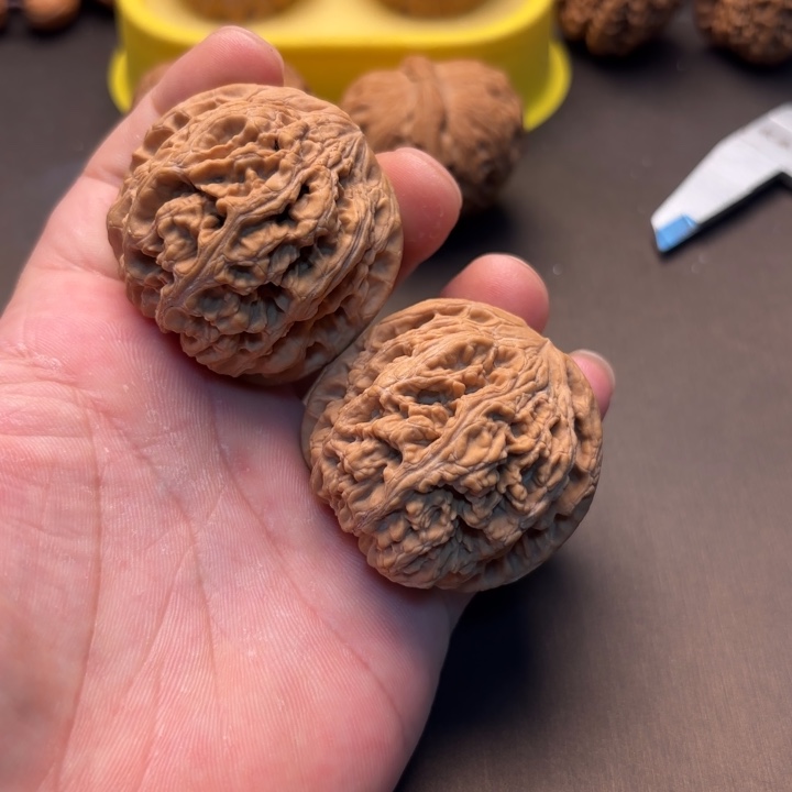 大叶紫檀（黑酸枝木类）粗筋