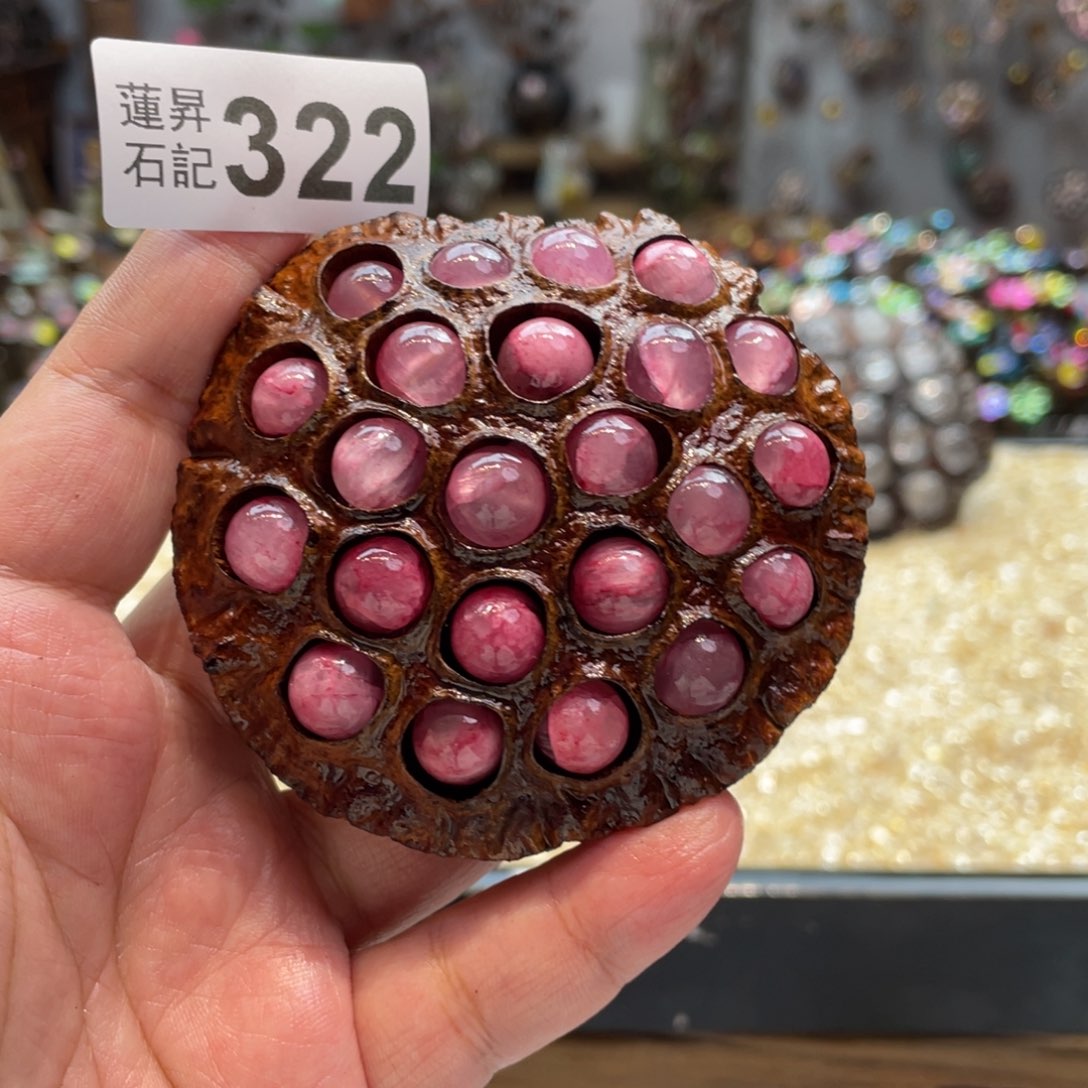 核桃木/黑胡桃（胡桃木）322蘑菇