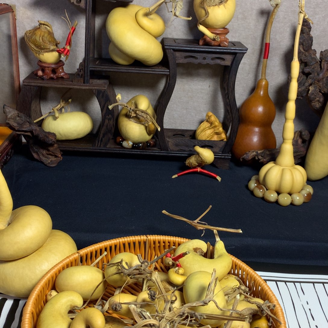 圆***圆葫芦葫芦真的好可爱呀哈