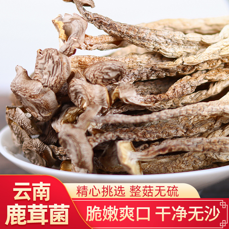 鹿茸菇干货养生菌菇煲汤食材原生态脆菇清炒火锅高山
