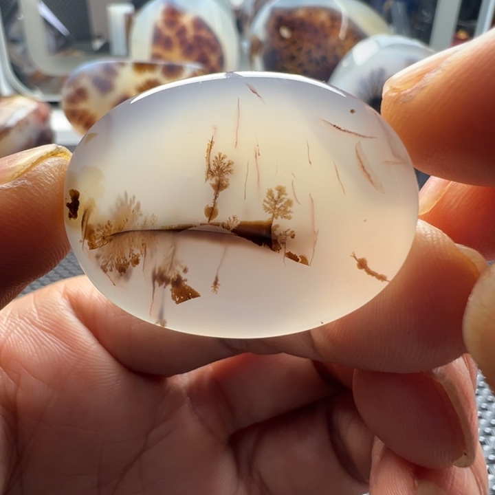 未镶嵌玛瑙/玉髓珠宝奇石