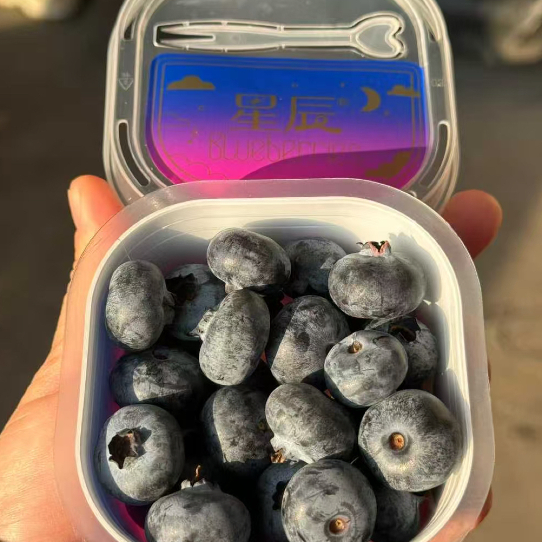 蓝莓/星辰杯云南L007蓝莓 纯甜脆口 18➕甜鲜果原箱装 云南蓝莓 南京同城小时达 闪送到家 云南省