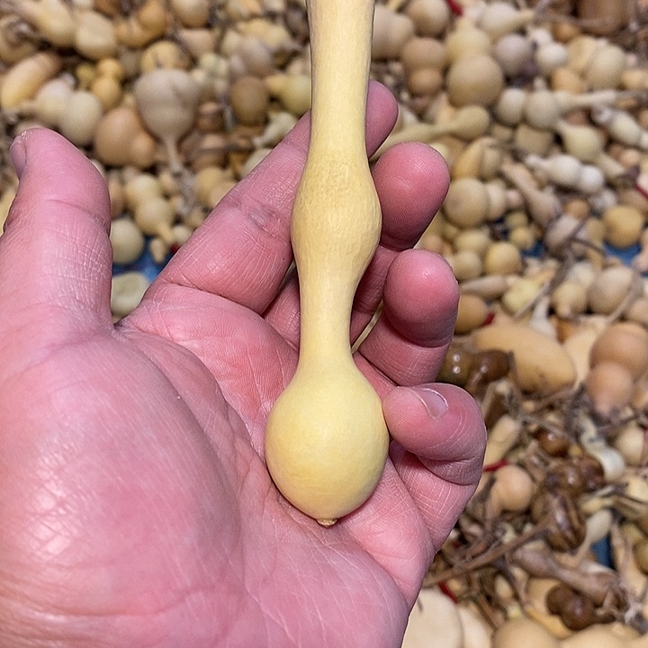 耶*✌精品葫芦手把葫芦16