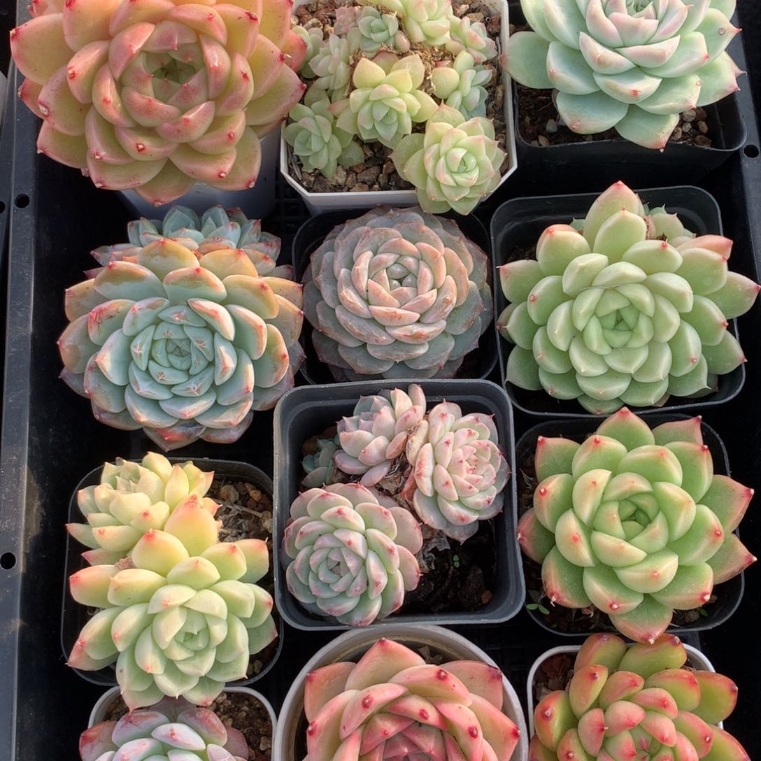 1202-30 套餐一组