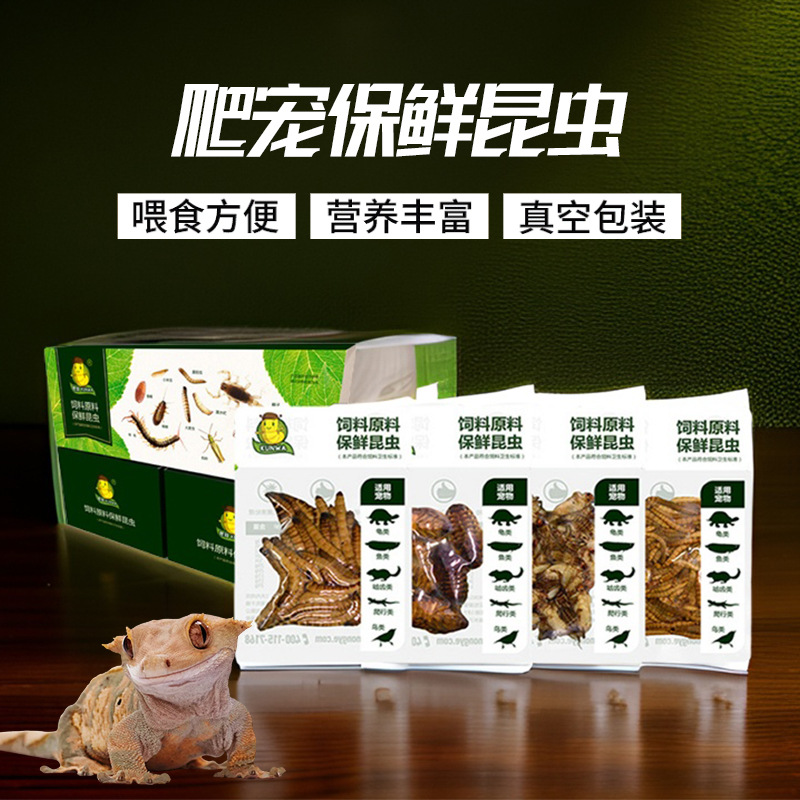 爬虫保鲜虫黄粉虫大麦虫蟋蟀杜比亚肥尾守宫蜥蜴