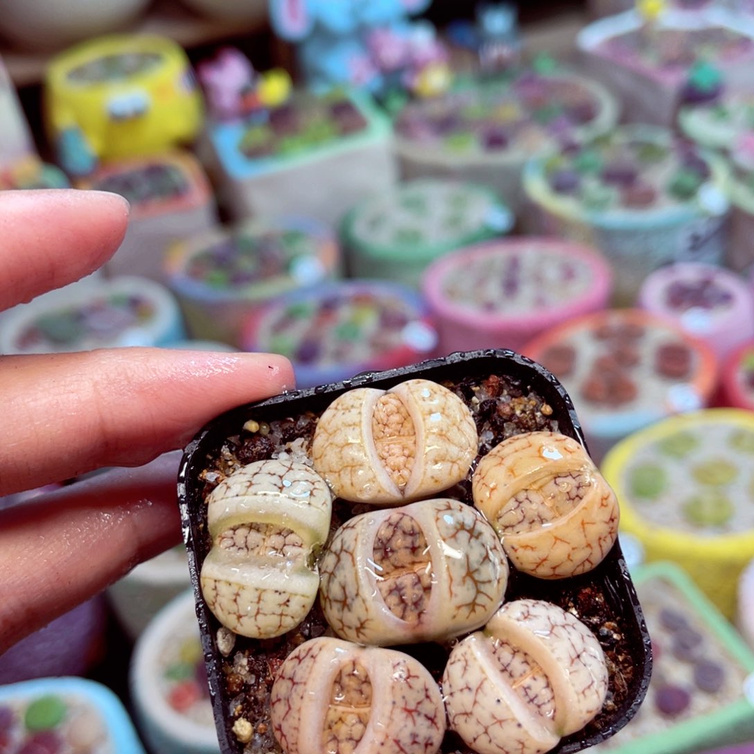 042。88888888888888588