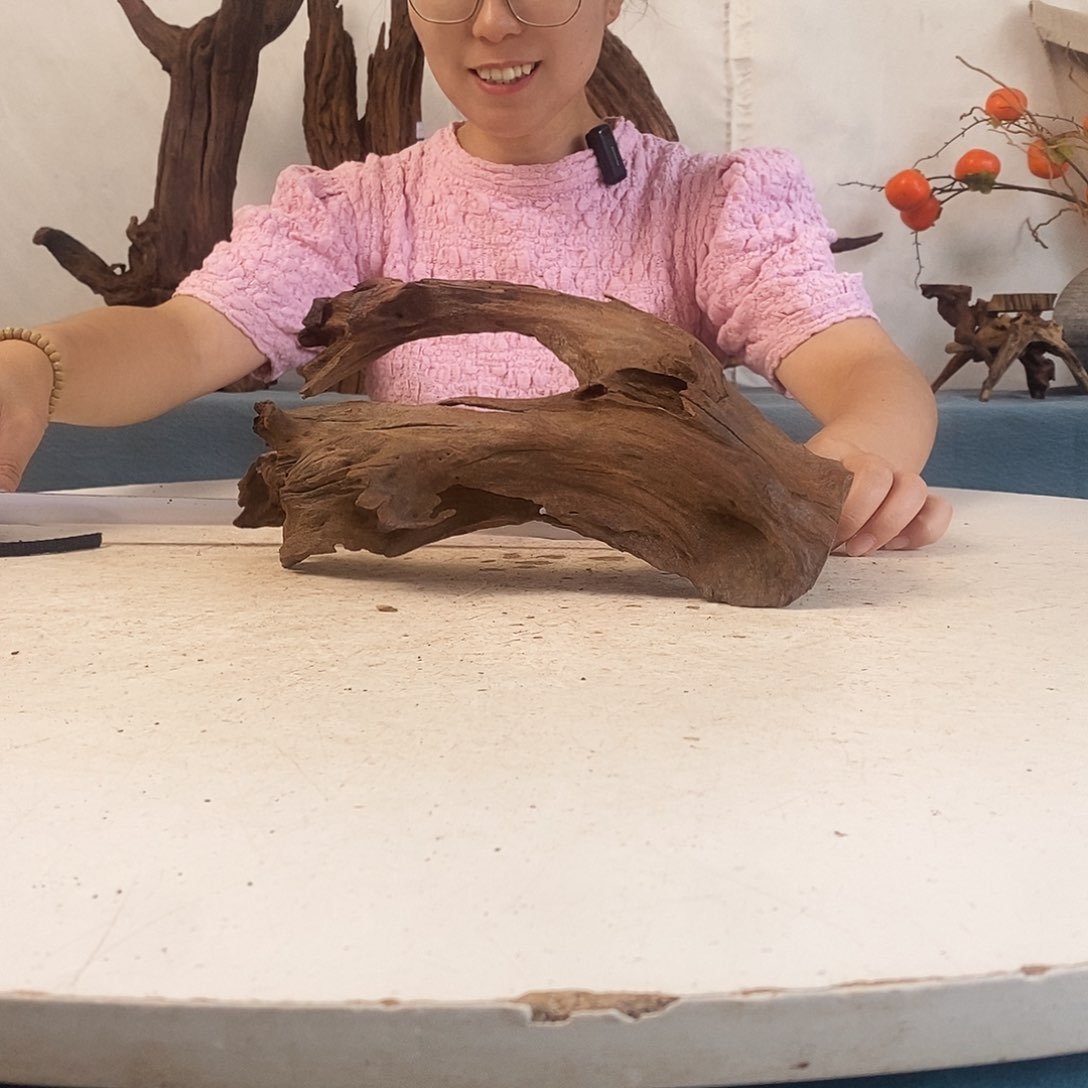 沉木造景寄居蟹景