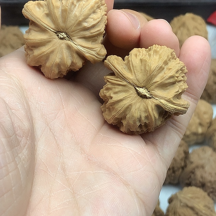 春***川吊坠文玩核桃37 白狮子