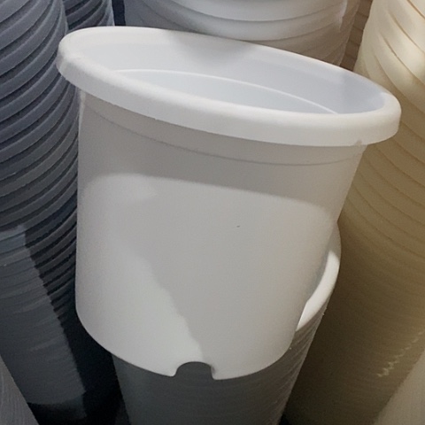 树脂四季4号纯白无托6个