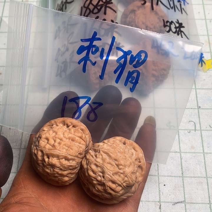 ****把件文玩核桃核桃