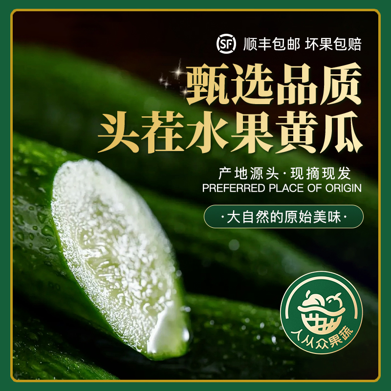 顺丰包邮 | 寿光高品质水果黄瓜/清香爽口脆甜多汁/低热量无负担