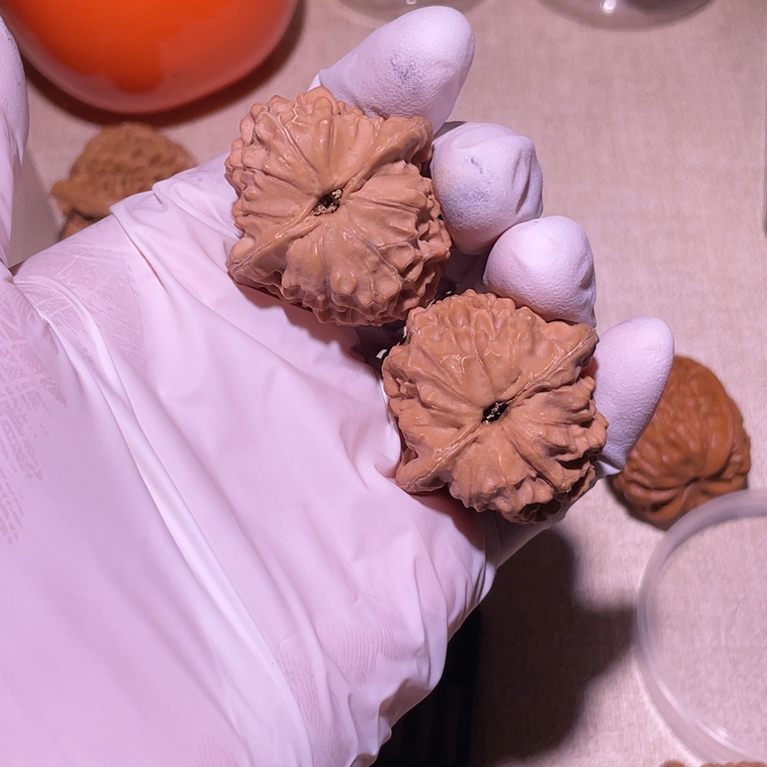 【闪购商品】35鱼籽纹