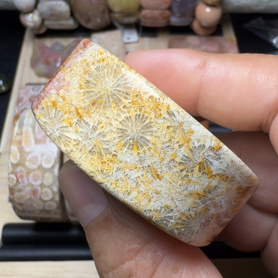 硅化玉未镶嵌纯天然色有机玉石保真色